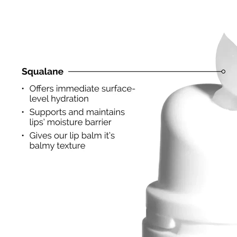 The Ordinary Squalane + Amino Acids Lip Balm